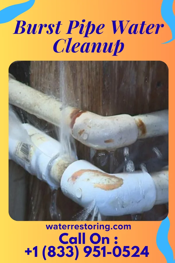 Burst Pipe Water Cleanup in Hazel Crest, IL